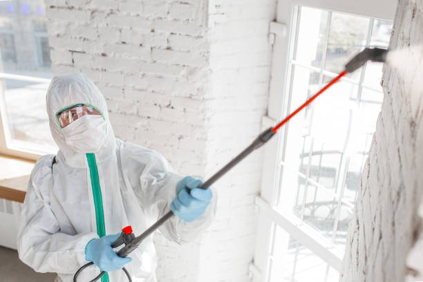 Trusted Brittany Farms The Highlands, PA Mold Removal Experts